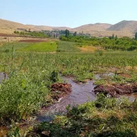 فروش زمین کشاورزی روستای رامول|فروش زمین و ملک کلنگی|دهگلان, |دیوار
