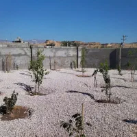 انجام امور باغبانی و درختکاری|خدمات باغبانی و درختکاری|بهبهان, |دیوار