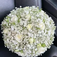 ماشین عروس و دسته گل عروس|گل و گیاه طبیعی|شیراز, سایت اداری|دیوار