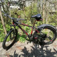 دوچرخه المپیا 35800