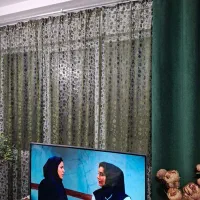 پرده دو تیکه سبز رنگ