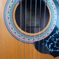 گیتار پارسی مدل M5