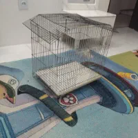قفس پرنده