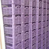 سبد میوه چهار کیلویی