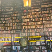 مدرس بازار های مالی