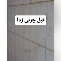 چربی زدا برای خانمهای تمیز|لوازم نظافت|شاهینشهر, خانه کارگر|دیوار