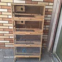 قفس پرنده  تمام چوب