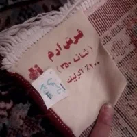 فرش۱۲ متری ارم کاشان|فرش|اردبیل, |دیوار