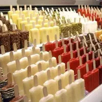 استخدام آقا با جای خواب و غذا+حراست(شرکت بستنی)|استخدام صنعتی، فنی، مهندسی|تهران, مخصوص|دیوار
