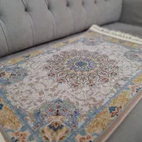 پادری نو گل برجسته|پادری|تهران, توحید|دیوار