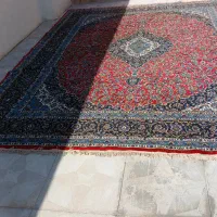 فرش تازه شسته شده وزیبا|فرش|ماهدشت, |دیوار
