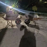 فرغون