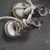 وسایل سگ|لوازم جانبی حیوانات|تهران, مدائن|دیوار