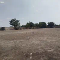 اجاره ۷۰۰۰ متری جاده ورامین بعد پل فیروز آباد|اجارهٔ دفتر صنعتی، کشاورزی، تجاری|تهران, تهران‌نو|دیوار
