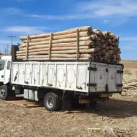 چوب فروشی و مرکز جمع آوری انواع چوب|عمده‌فروشی|سنقر, |دیوار