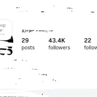 پیج ۴۳ کا فالوور فعال