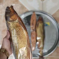 انواع ماهی سفید دودی لوکس|خوردنی و آشامیدنی|رشت, پیرسرا|دیوار