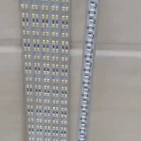 ال ای دی شاخه ای|ریسه و چراغ تزئینی|قم, بنیاد|دیوار