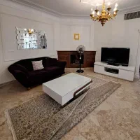 ۱۶۵ متر ۳ خوابه ونک  شیراز شیخ بهایی|اجارهٔ آپارتمان|تهران, ونک|دیوار