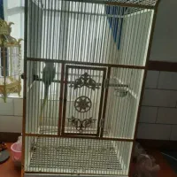 قفس آهنی مخصوص پرنده