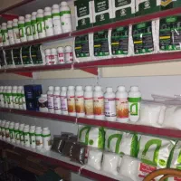 نمایندگی خدمات کشاورزی کود سم نهال و مشاوره|خدمات باغبانی و درختکاری|زاهدان, |دیوار