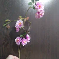 گل پارچه ای شاخه ای|گل مصنوعی|اهواز, بهارستان|دیوار