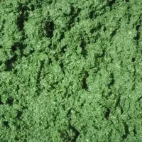 سبزی خورشتی آبپز شده رامهرمز