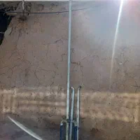 هفت مترلوله گاز بایک شیر فلکی چهار|مصالح و تجهیزات ساختمان|ایجرود, |دیوار