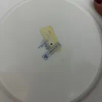 ارکوپال|ظروف سرو و پذیرایی|شیراز, احمدآباد|دیوار