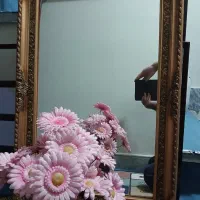 اینه قدی واینه دیواری