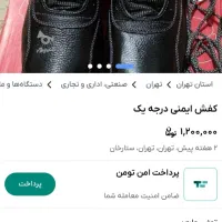 کفش کار ایمنی شرکتی|کیف، کفش، کمربند|زابل, |دیوار