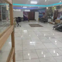 پاستورجدید طالقانی کوی گلزار