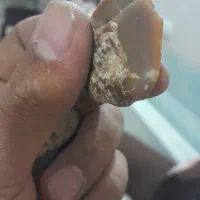 سنگ عقیق یمن