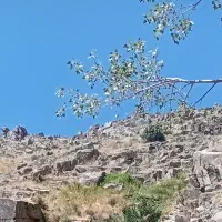 یبوست