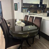 میر غذا خوری طرح اشک