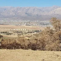 پرستار خانم