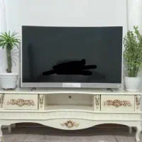 میزتلوزیون زیباوسالم