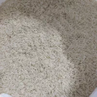برنج هاشمی محصول امسال