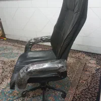 صندلی چرخ دار|دفتر کار|رباط‌کریم, رباط‌کریم|دیوار