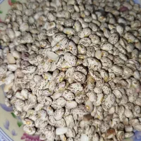 لوبیا چیتی خوش پخت|خوردنی و آشامیدنی|دره شهر, |دیوار