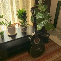 گیتار مشکی نو|گیتار، بیس، امپلیفایر|تهران, پونک|دیوار