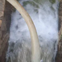 تانکرآبرسانی شرب وغیرشرب|خدمات حمل و نقل|چناران, |دیوار