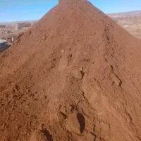 کود گوسفندی