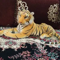 5 عدد پشتی|پشتی|قم, باجک دو|دیوار