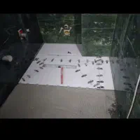 کاشی کاری سرامیک کاشیکارنصب شیرآلات بندکشی تخریب