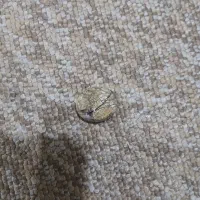 نگین فیروز اصل نیشاپور|جواهرات|دزفول, |دیوار