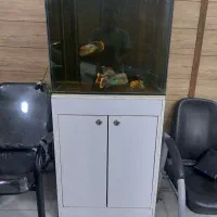 اکواریوم سامپ دار