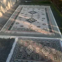 قالی و قالیچه ماشینی|فرش|آستانه اشرفیه, |دیوار