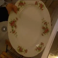 دیس گل سرخ ژاپن ۲عدد