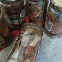 سور ماهی|خوردنی و آشامیدنی|بندر دیر, |دیوار